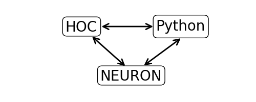 _images/python_hoc_neuron.png